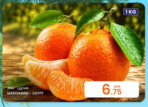 from Egypt available at البلدي اليوم in قطر - الشمال