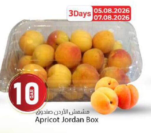 Apricot from Jordan available at دانا ماركت in قطر - الشمال