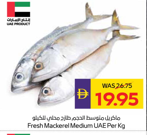 available at أدكووب in الإمارات العربية المتحدة , الامارات - أبو ظبي