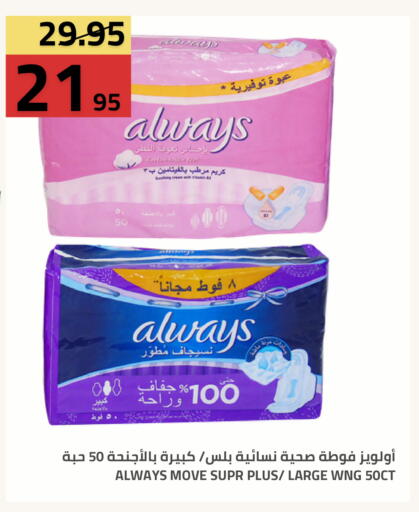 available at أسواق أسترا in مملكة العربية السعودية, السعودية, سعودية - تبوك