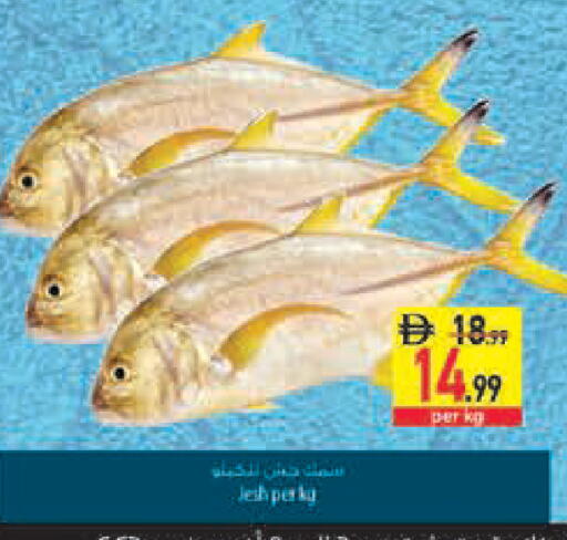 available at السفير ماركت in الإمارات العربية المتحدة , الامارات - الشارقة / عجمان