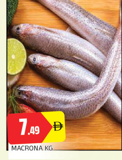 available at AL MADINA in UAE - Sharjah / Ajman