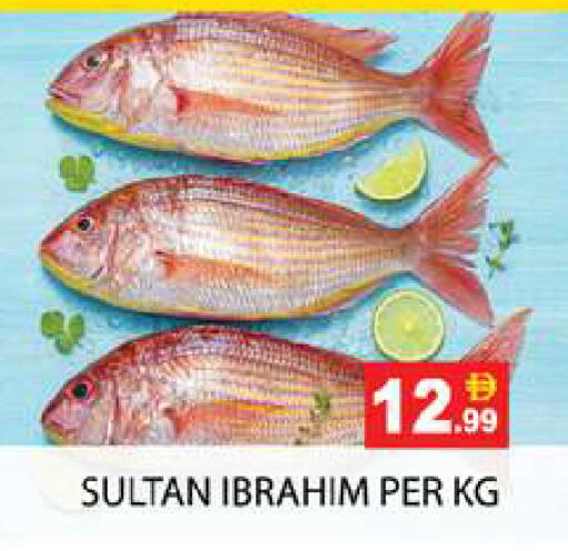 available at Zain Mart Supermarket in UAE - Ras al Khaimah