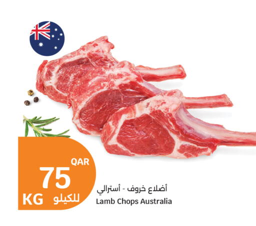available at سيتي هايبرماركت in قطر - الشحانية