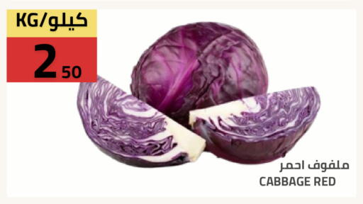 Cabbage available at أسواق أسترا in مملكة العربية السعودية, السعودية, سعودية - تبوك