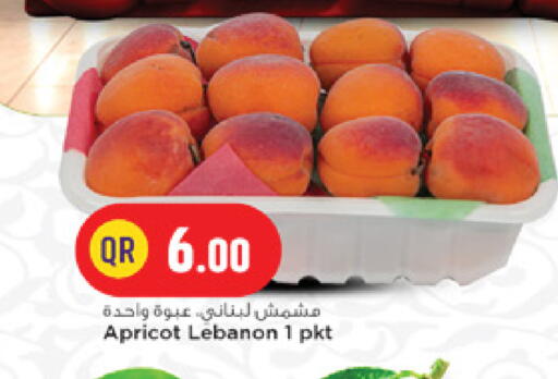 Apricot available at Marza Hypermarket in Qatar - Al Wakra