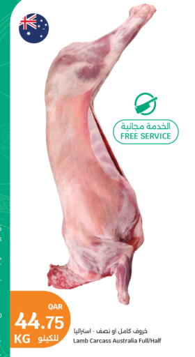 available at سيتي هايبرماركت in قطر - الشحانية