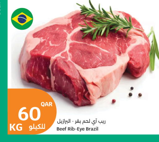 available at سيتي هايبرماركت in قطر - الشحانية