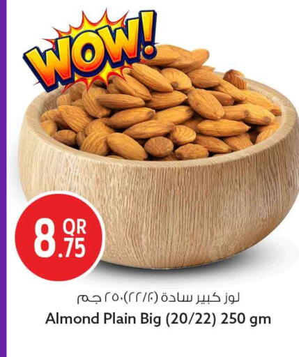 available at سفاري هايبر ماركت in قطر - الوكرة