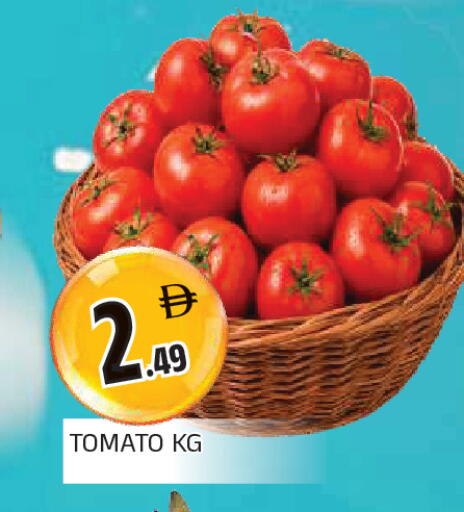 Tomato available at المدينة in الإمارات العربية المتحدة , الامارات - الشارقة / عجمان