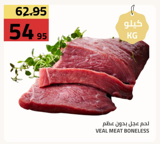 available at أسواق أسترا in مملكة العربية السعودية, السعودية, سعودية - تبوك