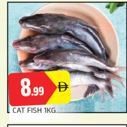 available at AL MADINA in UAE - Sharjah / Ajman