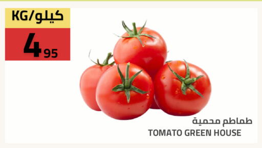 Tomato available at Astra Markets in KSA, Saudi Arabia, Saudi - Tabuk