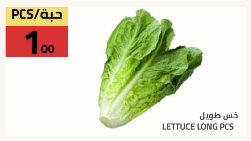 Lettuce available at أسواق أسترا in مملكة العربية السعودية, السعودية, سعودية - تبوك
