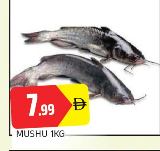 available at AL MADINA in UAE - Sharjah / Ajman