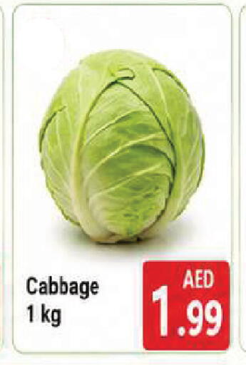 Cabbage available at AL MADINA in UAE - Sharjah / Ajman