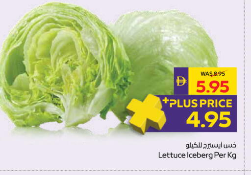 Lettuce available at أدكووب in الإمارات العربية المتحدة , الامارات - أبو ظبي