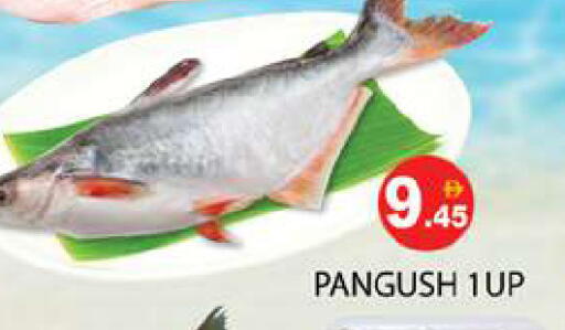 available at Zain Mart Supermarket in UAE - Ras al Khaimah