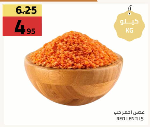 available at أسواق أسترا in مملكة العربية السعودية, السعودية, سعودية - تبوك
