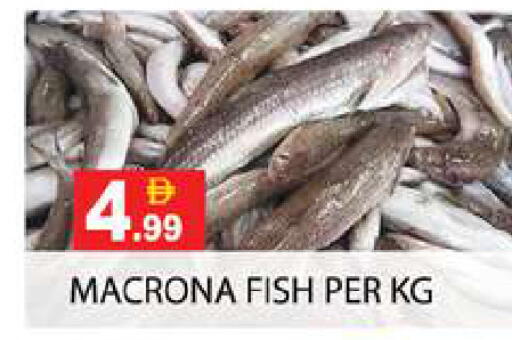 available at Zain Mart Supermarket in UAE - Ras al Khaimah