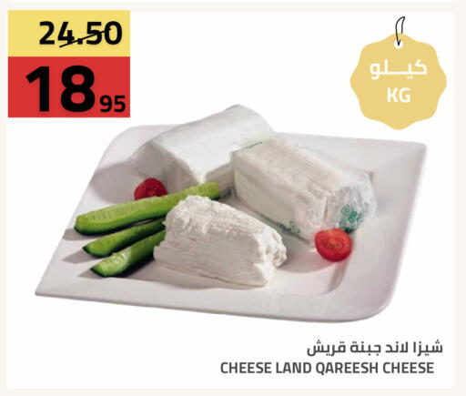 available at Astra Markets in KSA, Saudi Arabia, Saudi - Tabuk
