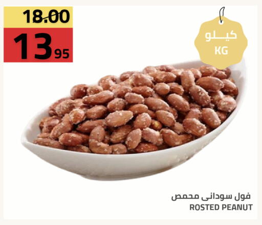 available at Astra Markets in KSA, Saudi Arabia, Saudi - Tabuk