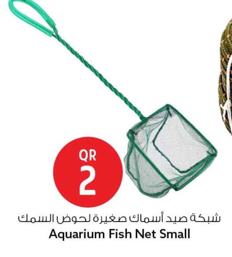available at Safari Hypermarket in Qatar - Al Wakra