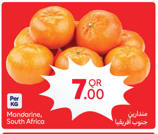 from South Africa available at كارفور in قطر - الشمال