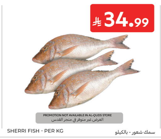 available at كارفور in مملكة العربية السعودية, السعودية, سعودية - الخبر‎