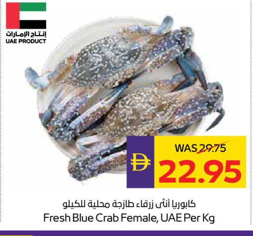available at أدكووب in الإمارات العربية المتحدة , الامارات - أبو ظبي