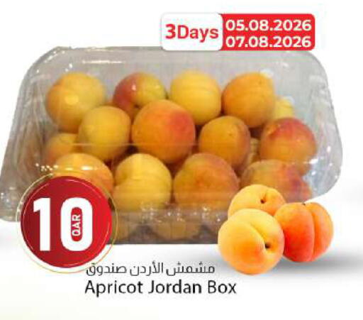 Apricot from Jordan available at دانا ماركت in قطر - الشمال