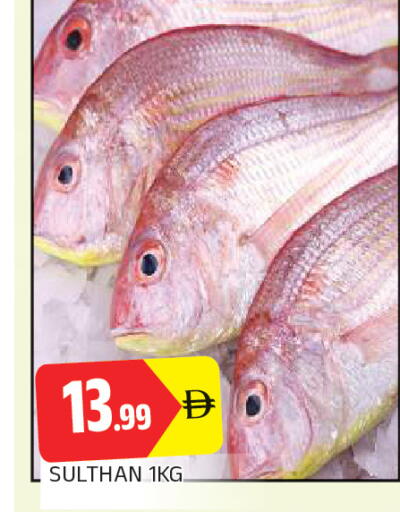 available at AL MADINA in UAE - Sharjah / Ajman