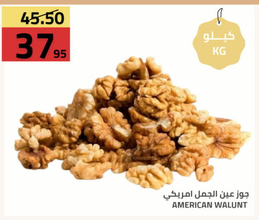 available at أسواق أسترا in مملكة العربية السعودية, السعودية, سعودية - تبوك