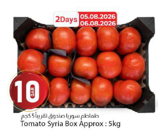 Tomato from Syria available at دانا ماركت in قطر - الشحانية