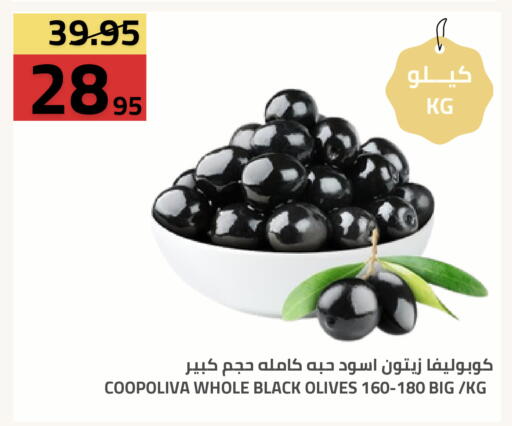 available at أسواق أسترا in مملكة العربية السعودية, السعودية, سعودية - تبوك