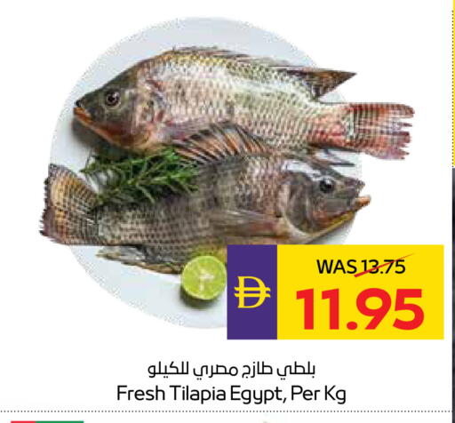 available at ADCOOP in UAE - Abu Dhabi