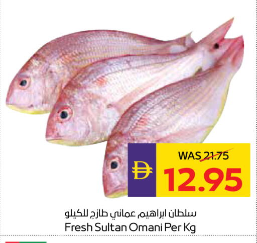 available at أدكووب in الإمارات العربية المتحدة , الامارات - أبو ظبي
