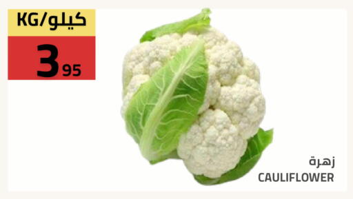 Cauliflower available at أسواق أسترا in مملكة العربية السعودية, السعودية, سعودية - تبوك