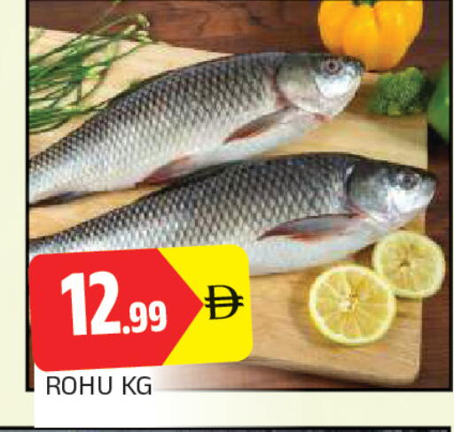 available at AL MADINA in UAE - Sharjah / Ajman