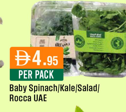 Spinach Kale available at ويست زون سوبرماركت in الإمارات العربية المتحدة , الامارات - دبي