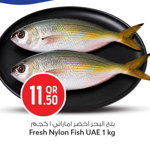 available at Safari Hypermarket in Qatar - Al Khor