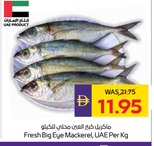 available at أدكووب in الإمارات العربية المتحدة , الامارات - أبو ظبي