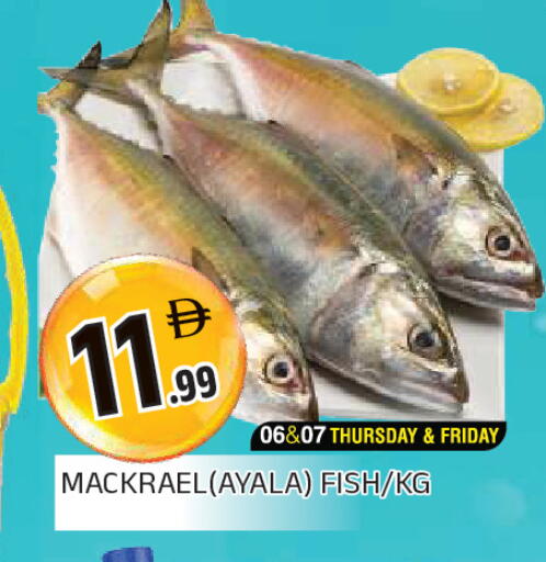available at AL MADINA in UAE - Sharjah / Ajman