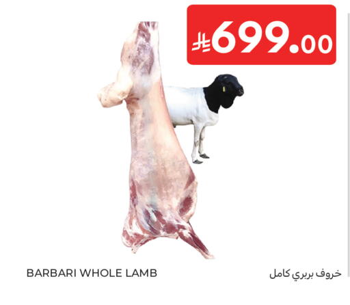 available at Carrefour in KSA, Saudi Arabia, Saudi - Sakaka