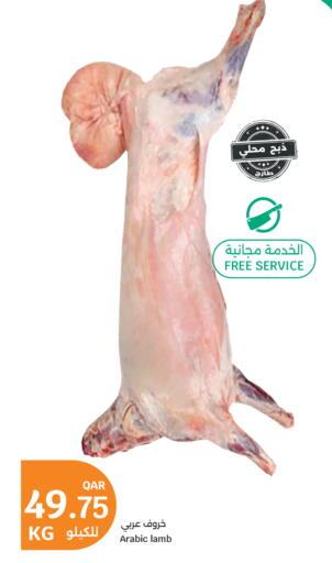 available at سيتي هايبرماركت in قطر - الشحانية