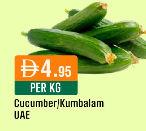 Cucumber available at ويست زون سوبرماركت in الإمارات العربية المتحدة , الامارات - دبي