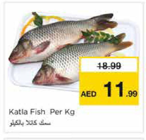 available at Nesto Hypermarket in UAE - Dubai