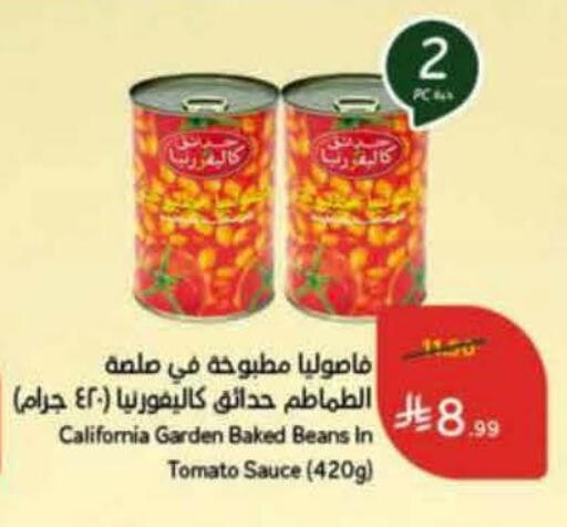 Tomato available at هايبر بنده in مملكة العربية السعودية, السعودية, سعودية - خميس مشيط