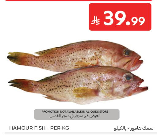 available at كارفور in مملكة العربية السعودية, السعودية, سعودية - جدة