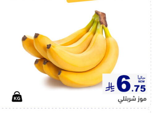 available at أسواق رامز in مملكة العربية السعودية, السعودية, سعودية - تبوك